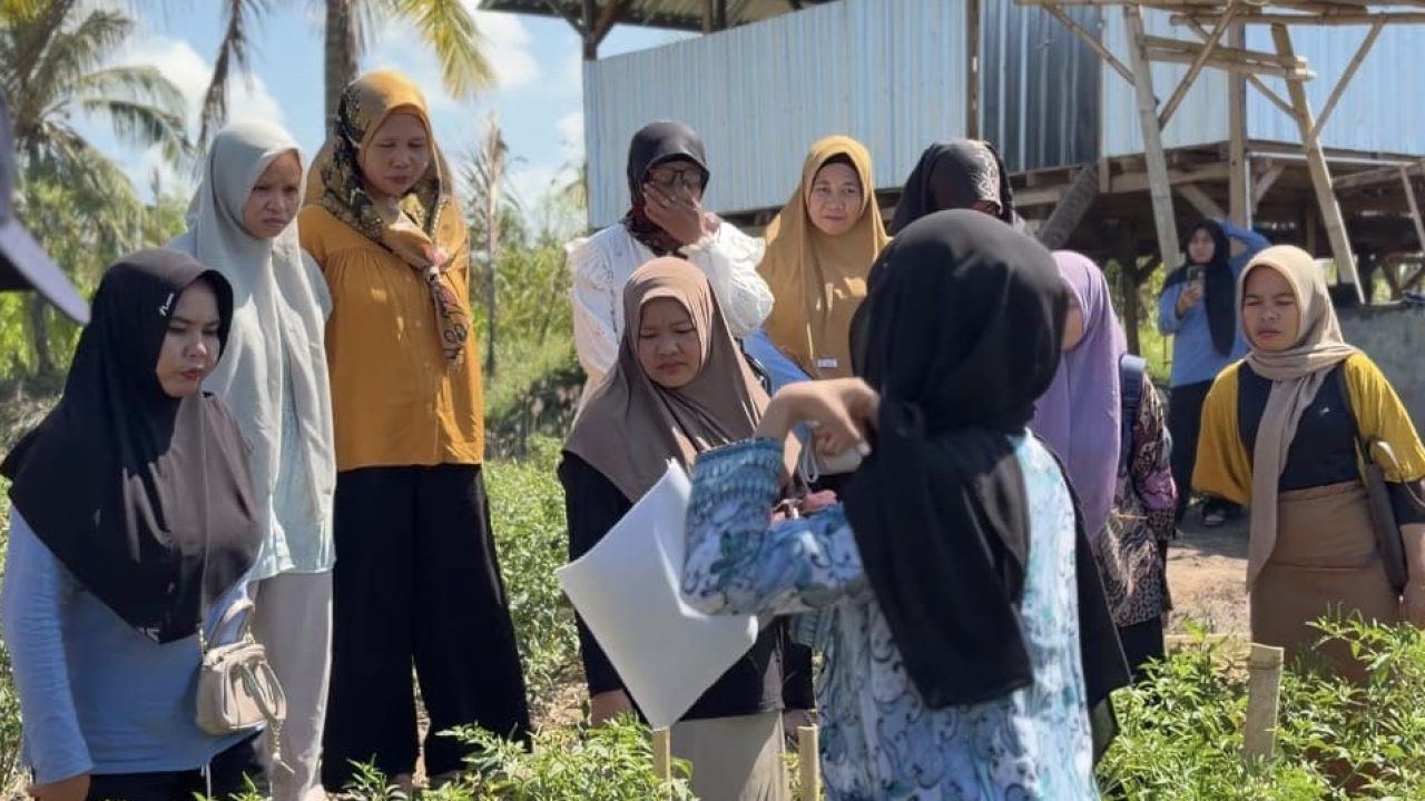 Mahasiswa KKN Demonstrasikan Irigasi Tetes Lewat Smart Farming Corner di Kertasari