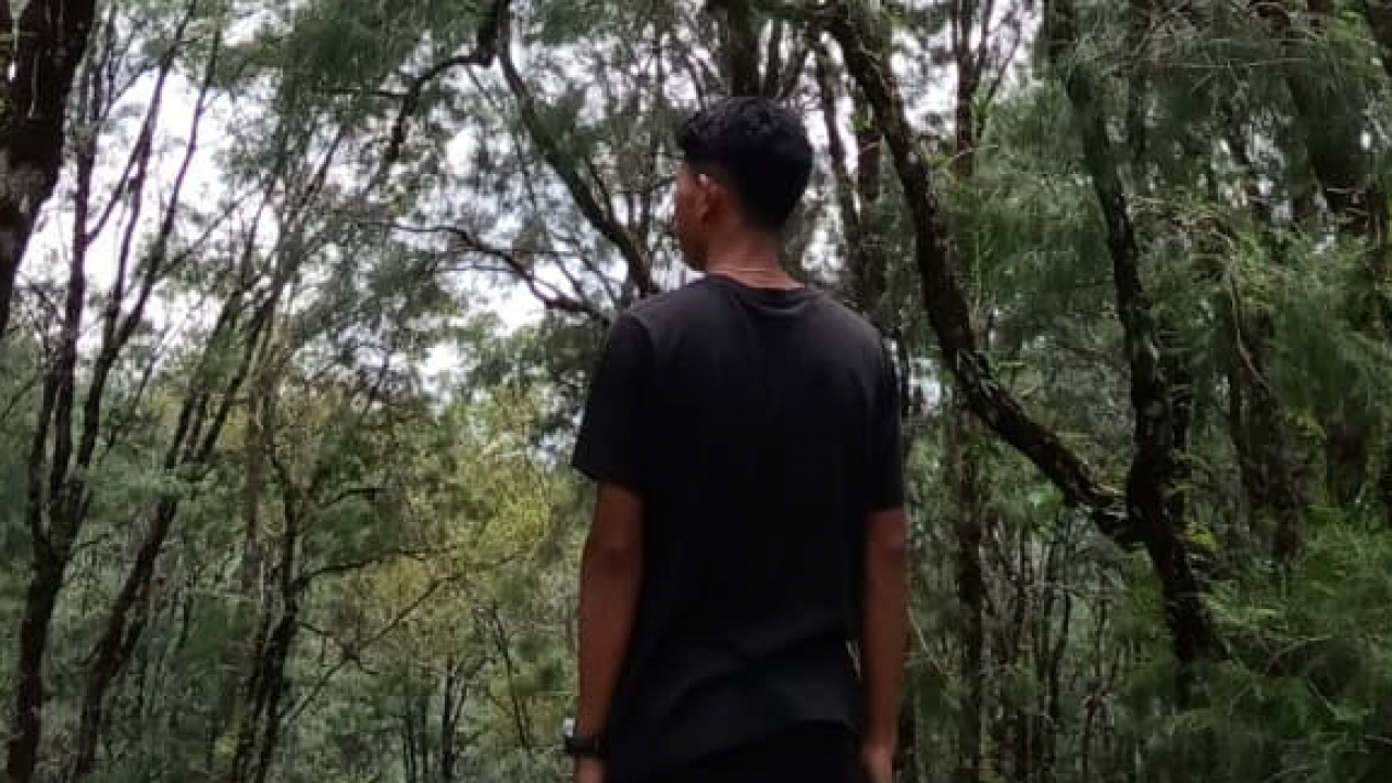 Pesona Wisata Desa Tunua: Alam dan Budaya Mollo Utara