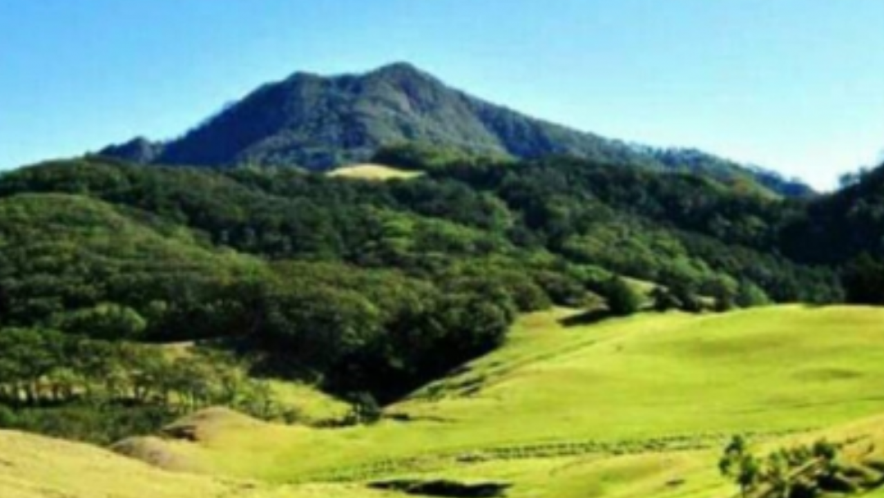 Mutis Timau: Paru-Paru NTT yang Menjaga Kehidupan dan Keberlanjutan