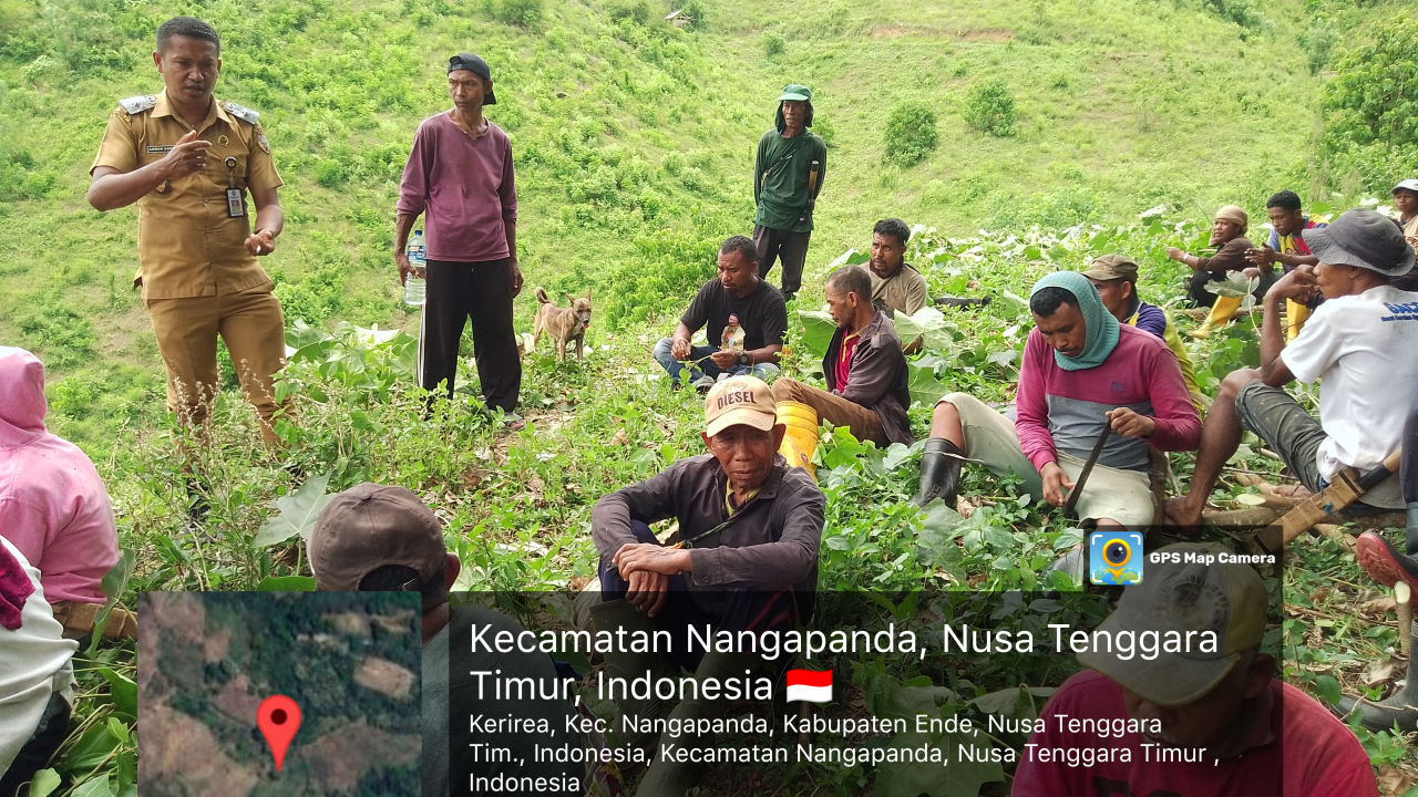 Ketahanan Pangan Kerirea