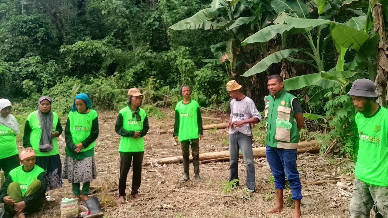 Sosialisasi Budidaya Tanaman Jagung pada kebun BUMDES Rea Jaya