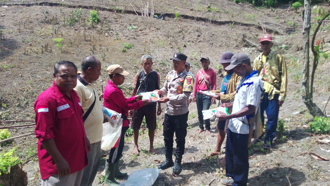 Polsek Nangapanda ikut terlibat, Tanam Jagung Hibrida di Kerirea
