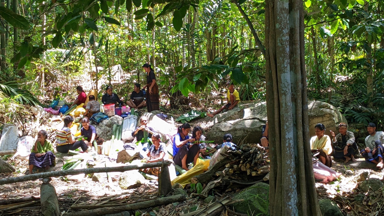 Pertanian dan Perkebunan
