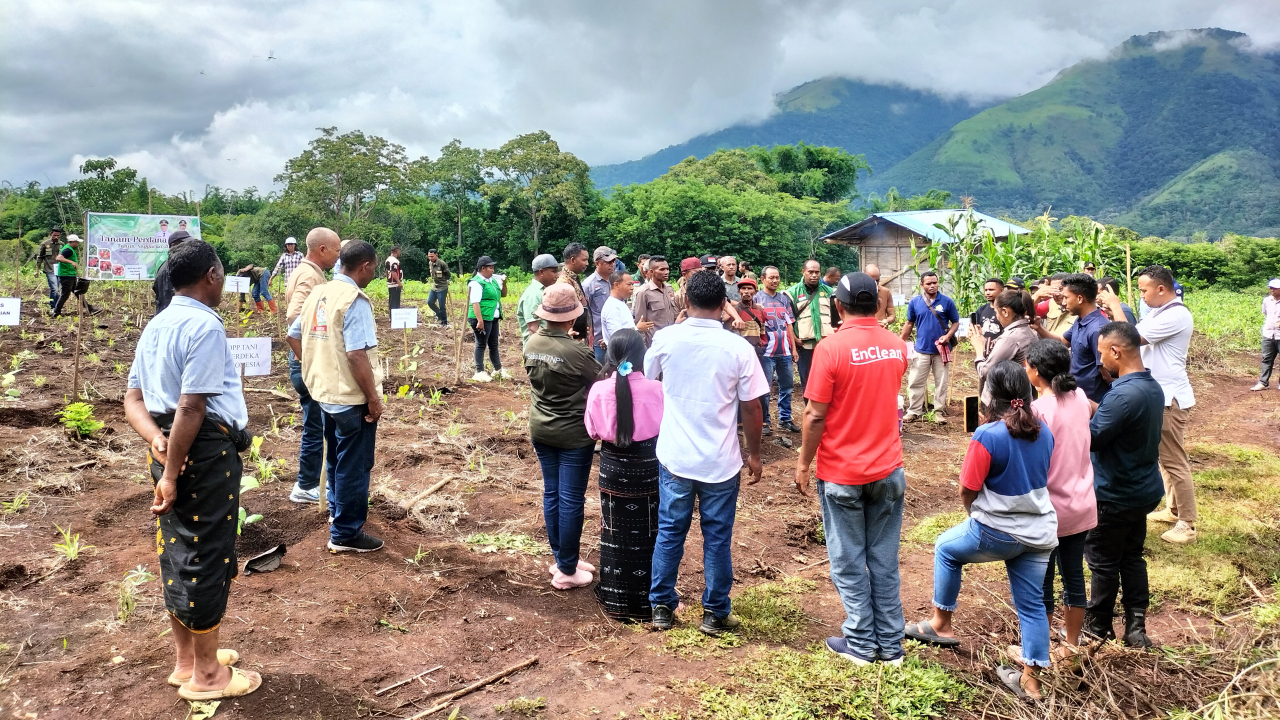 Ekonomi Desa Genamere Bangkit Lewat Kopi Arabika Berkualitas