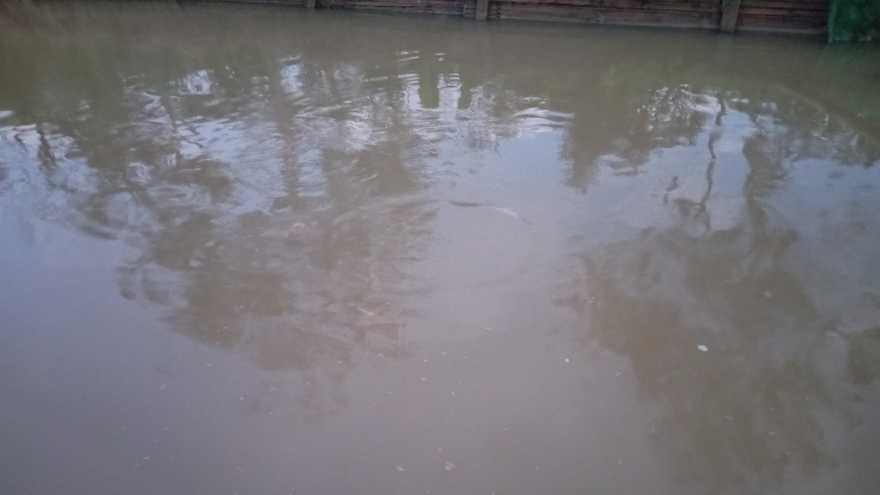 Potensi Ekonomi Desa Tengku Lese dan Peluang Pengembangan Ikan Air Tawar