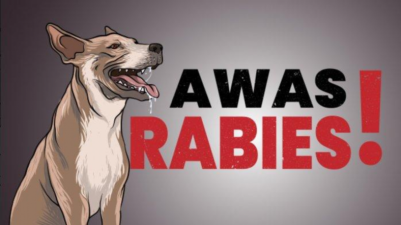 Himbauan Kepala Desa Tengku Lese tentang Penertiban Hewan Penular Rabies