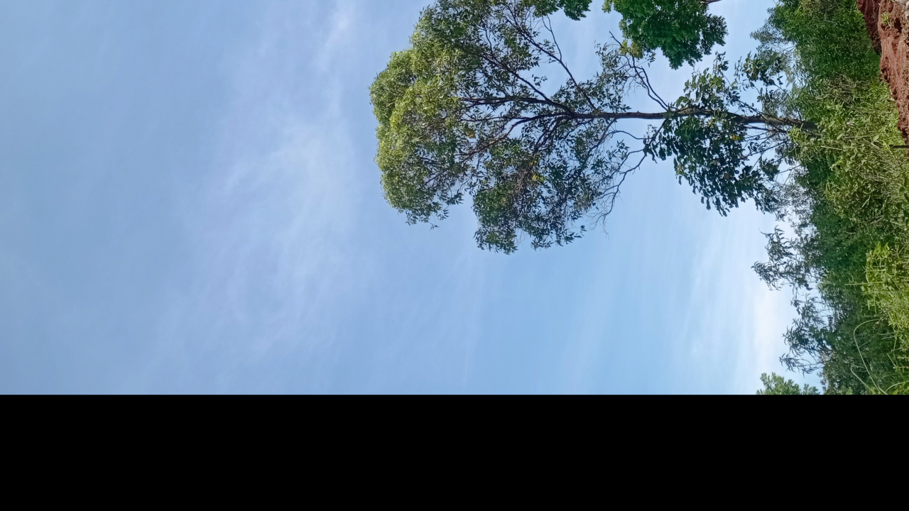 Tugas Sekretaris Desa Tengku Lese