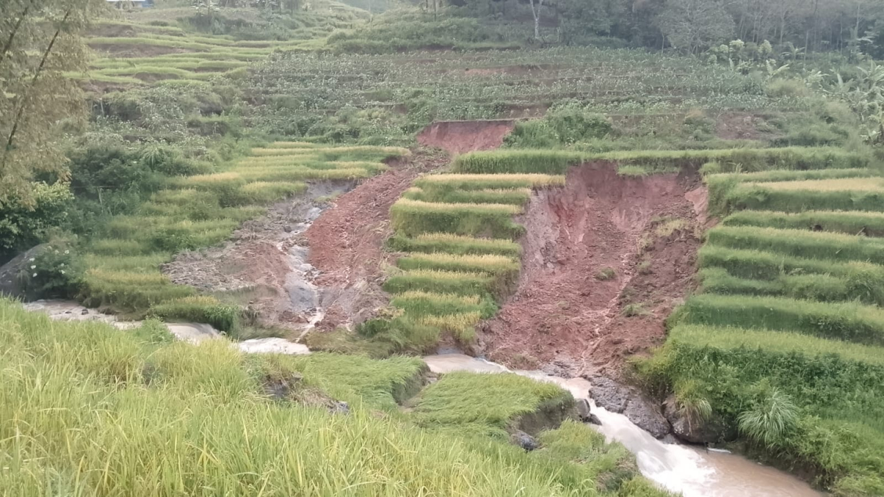 Bencana Tanah Longsor: Sawah milik Warga Dusun Bobong Rusak Akibat Hujan Deras