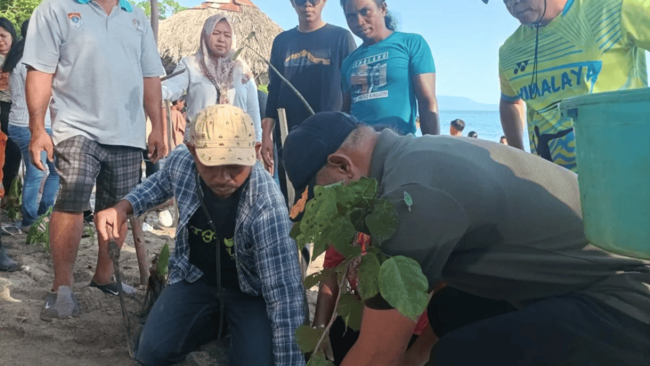 Lembata inisiasi penanaman 1.000 bakau dan malapari