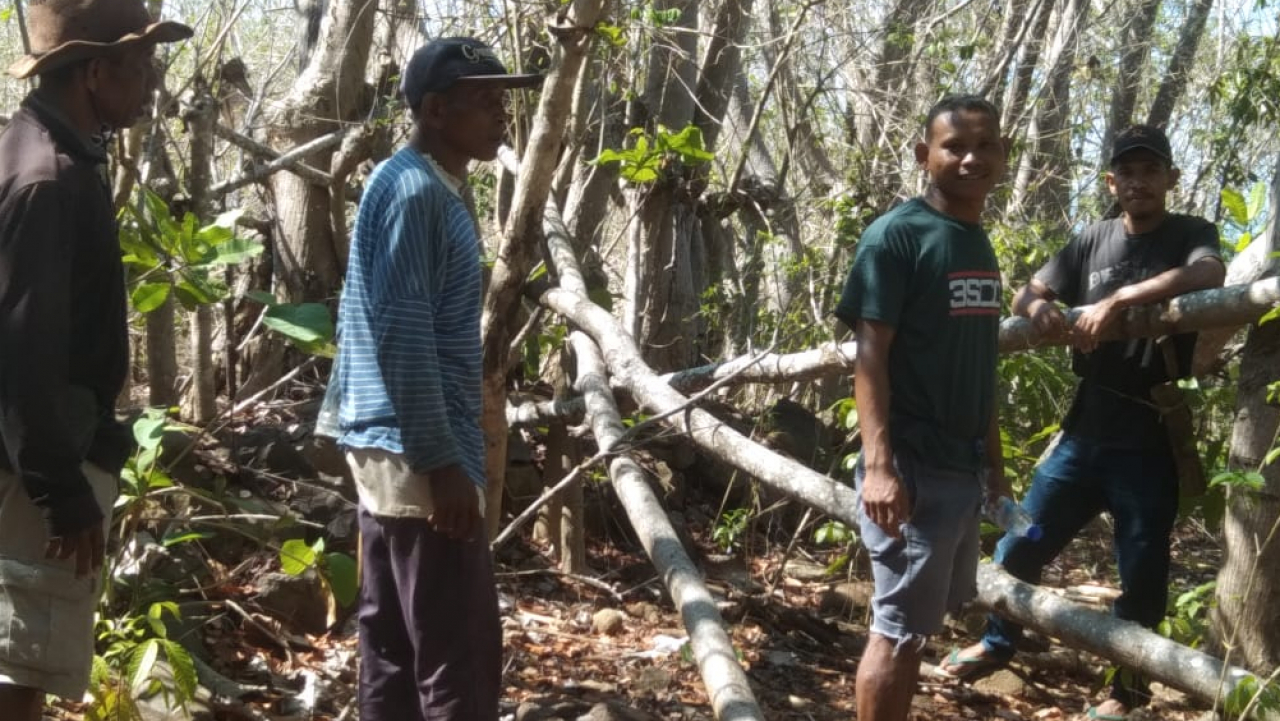 Potensi Ekonomi Desa Watu Tiri Terungkap Melalui Survei Lahan Ketahanan Pangan