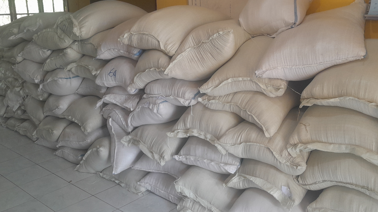 PEMERINTAH DESA KOTODIRUMALI LAKUKAN PENDAMPINGAN KEDATANGAN BANTUAN CPP UNTUK WARGA TERDAMPAK GEMPA