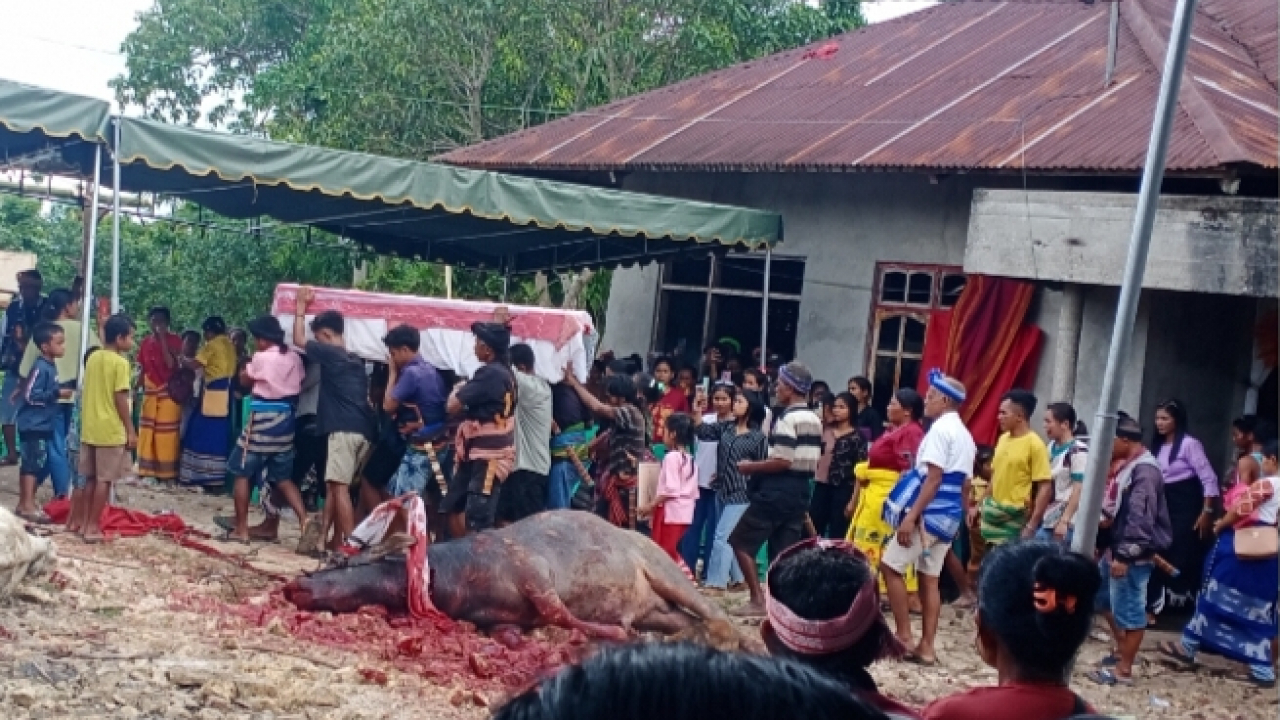 Upacara pemakaman di Wee limbara