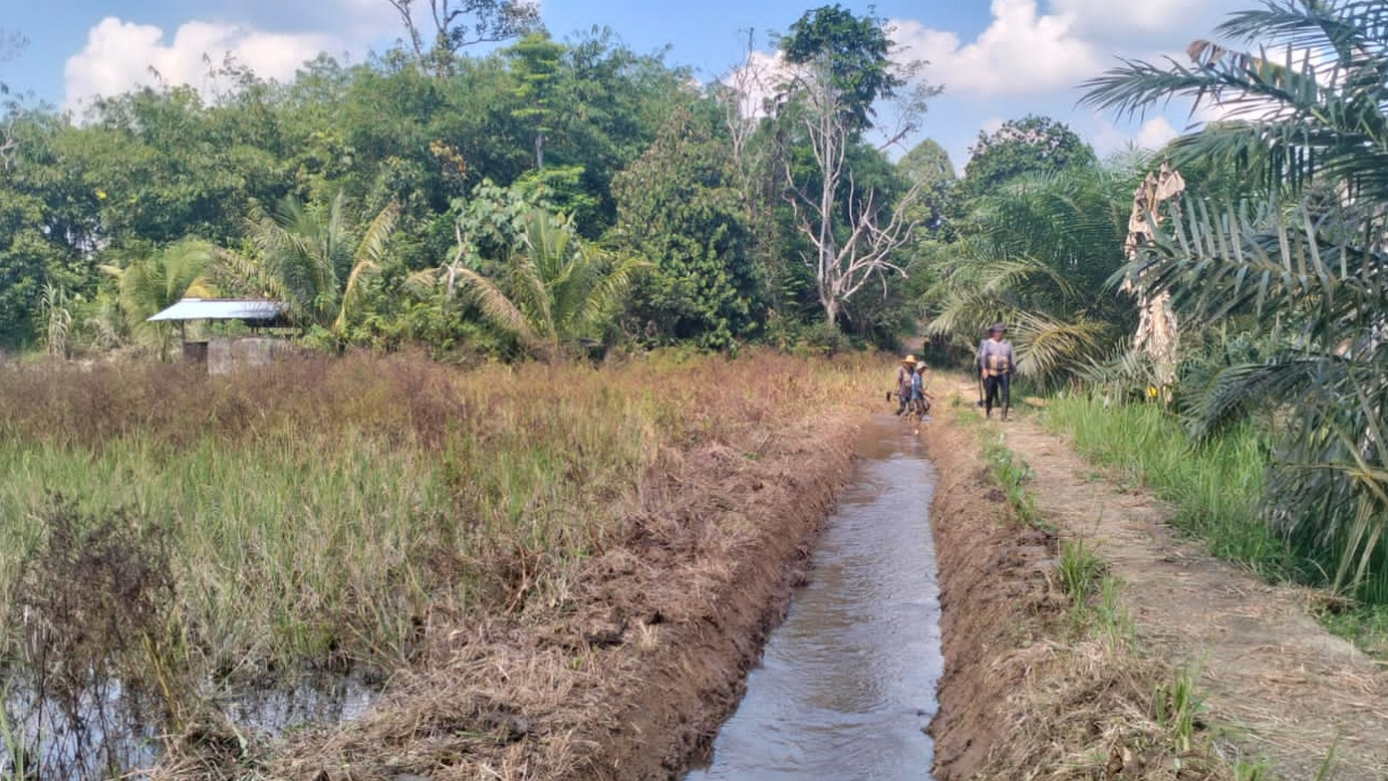 KEGIATAN PEMBERSIHAN IRIGASI PERSAWAHAN OLEH DINAS PUPR SUMBER ANGGARAN DAK/DAU