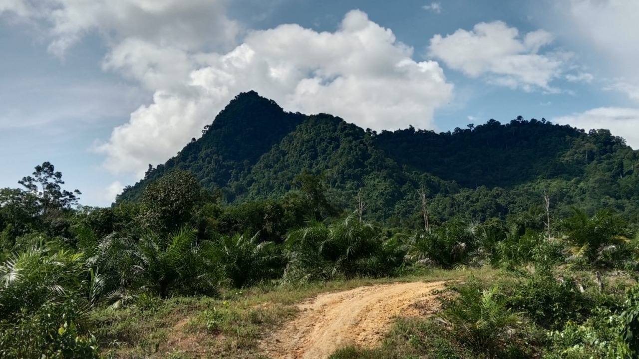 WISATA PUNCAK ENTINYU BABAI CINGAK