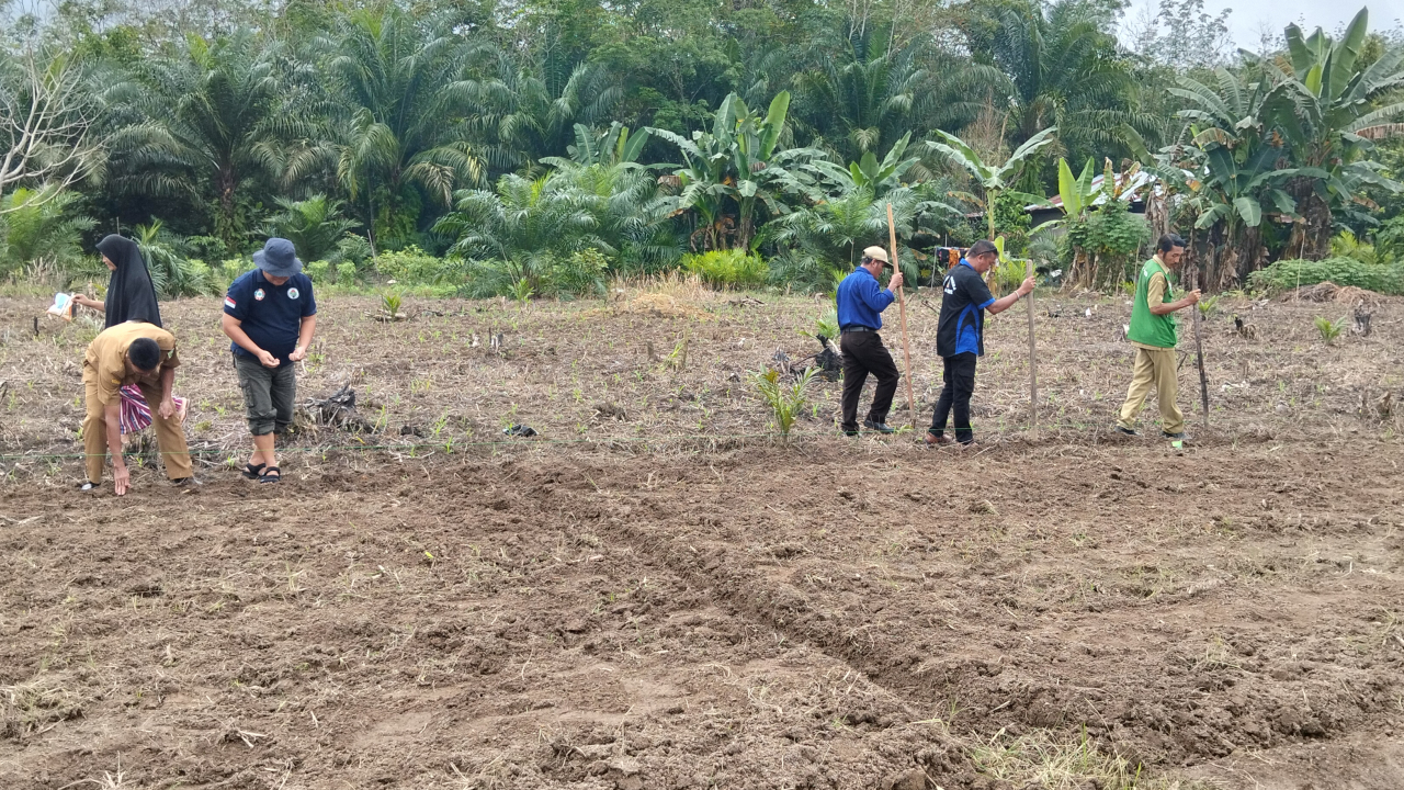Tanam Jagung Perdana di Mobui untuk Ketahanan Pangan