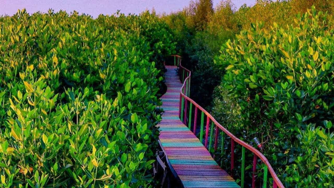 Taman Mangrove