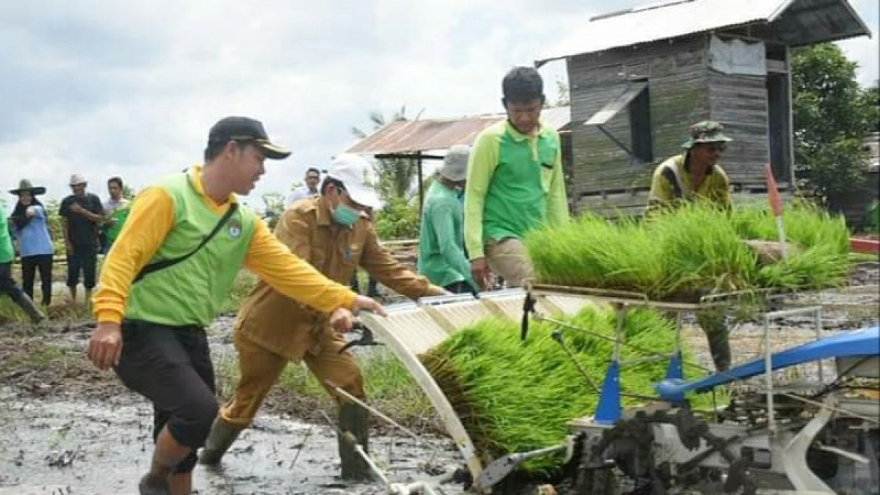 Pertanian dan Perkebunan