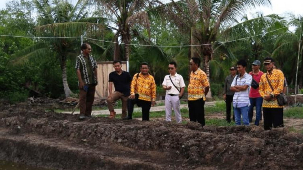 Perusahaan Sawit ini Latih Masyarakat Budidayakan Ikan Bandeng Tanpa Merusak Mangrove