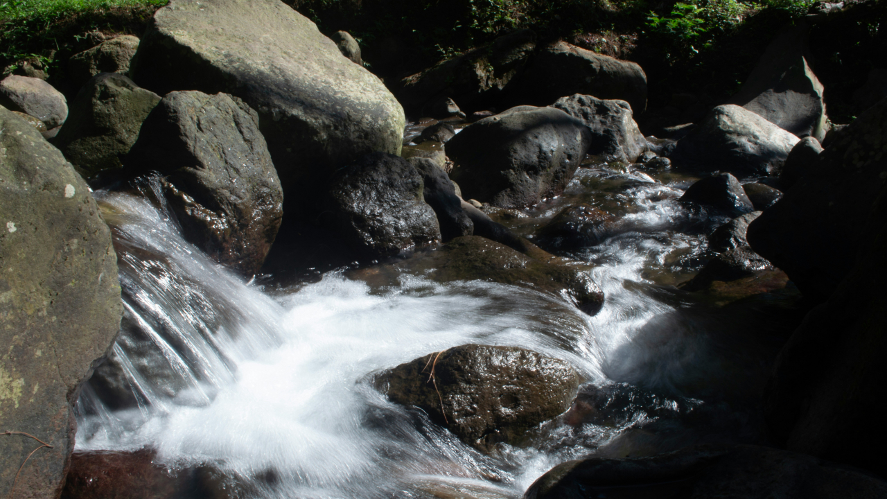 Hutan & Sumber Air Alami