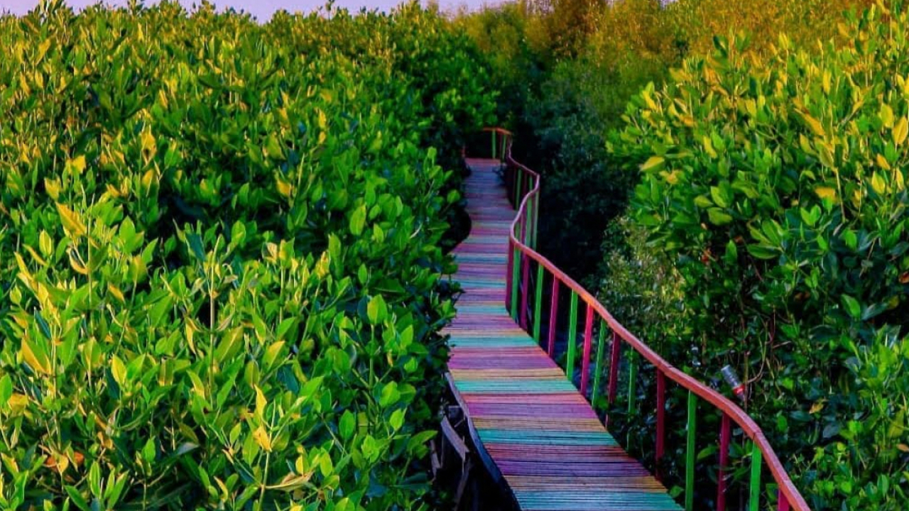 Taman Mangrove