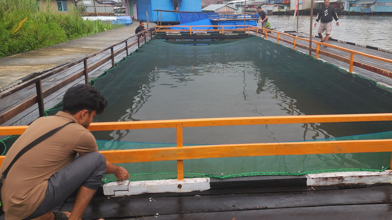 Budidaya Keramba Ikan Air Tawar: Upaya Desa Suka Ramai Perkuat Ketahanan Pangan