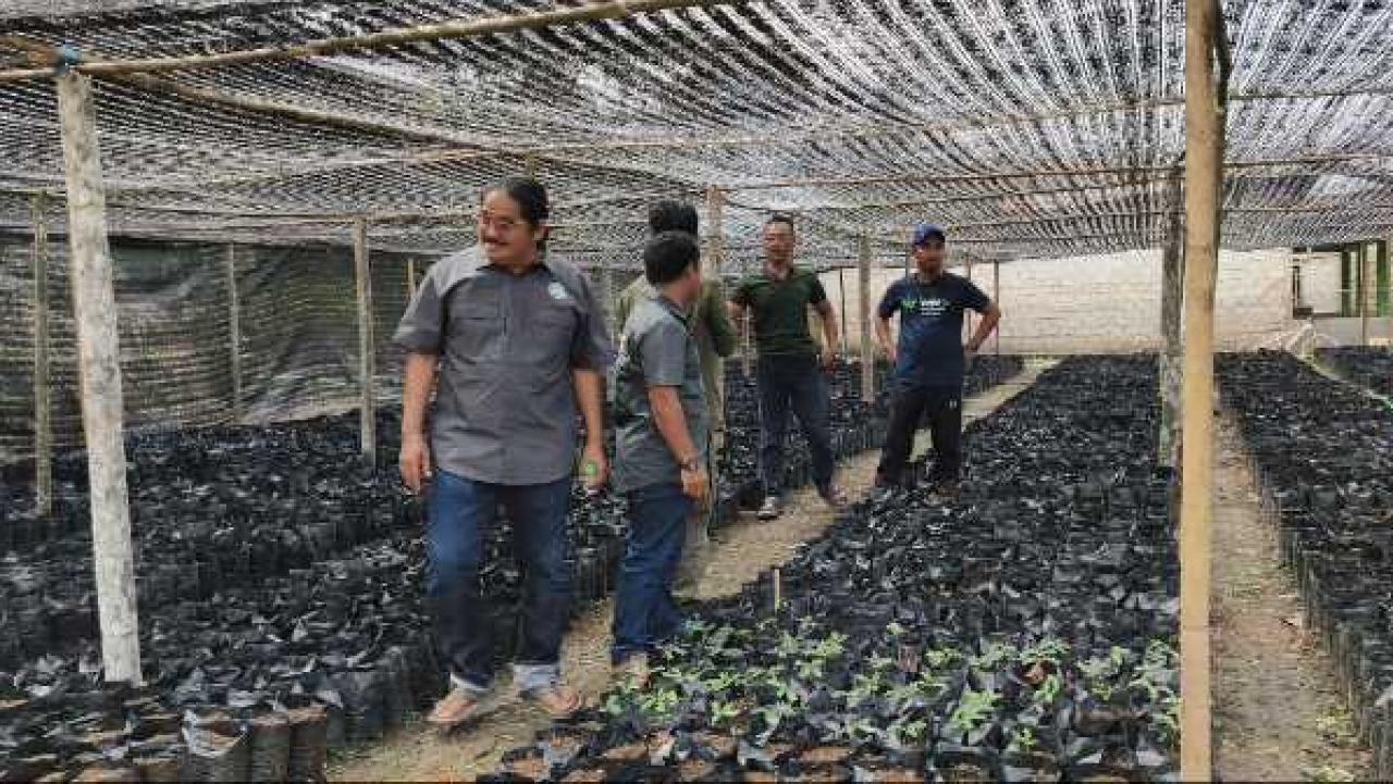 Penghijauan di Sekitar Area Perkebunan Kelapa Sawit