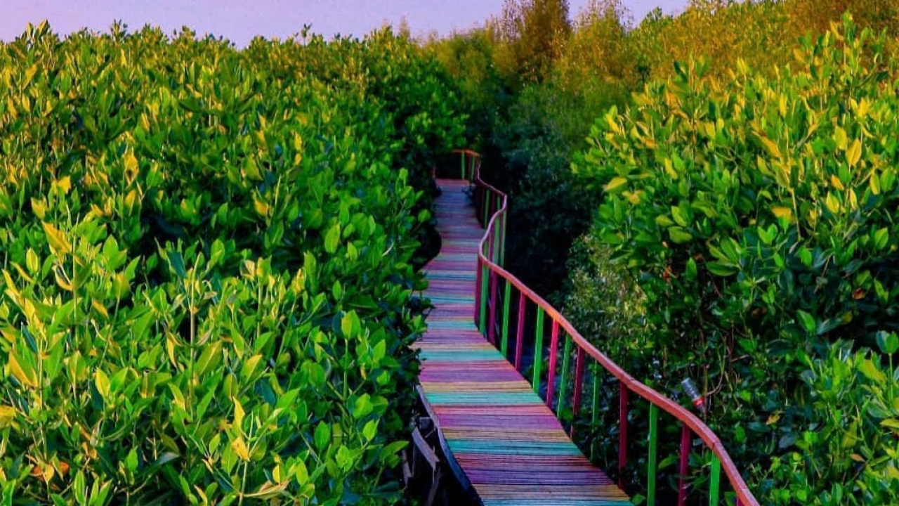 Taman Mangrove