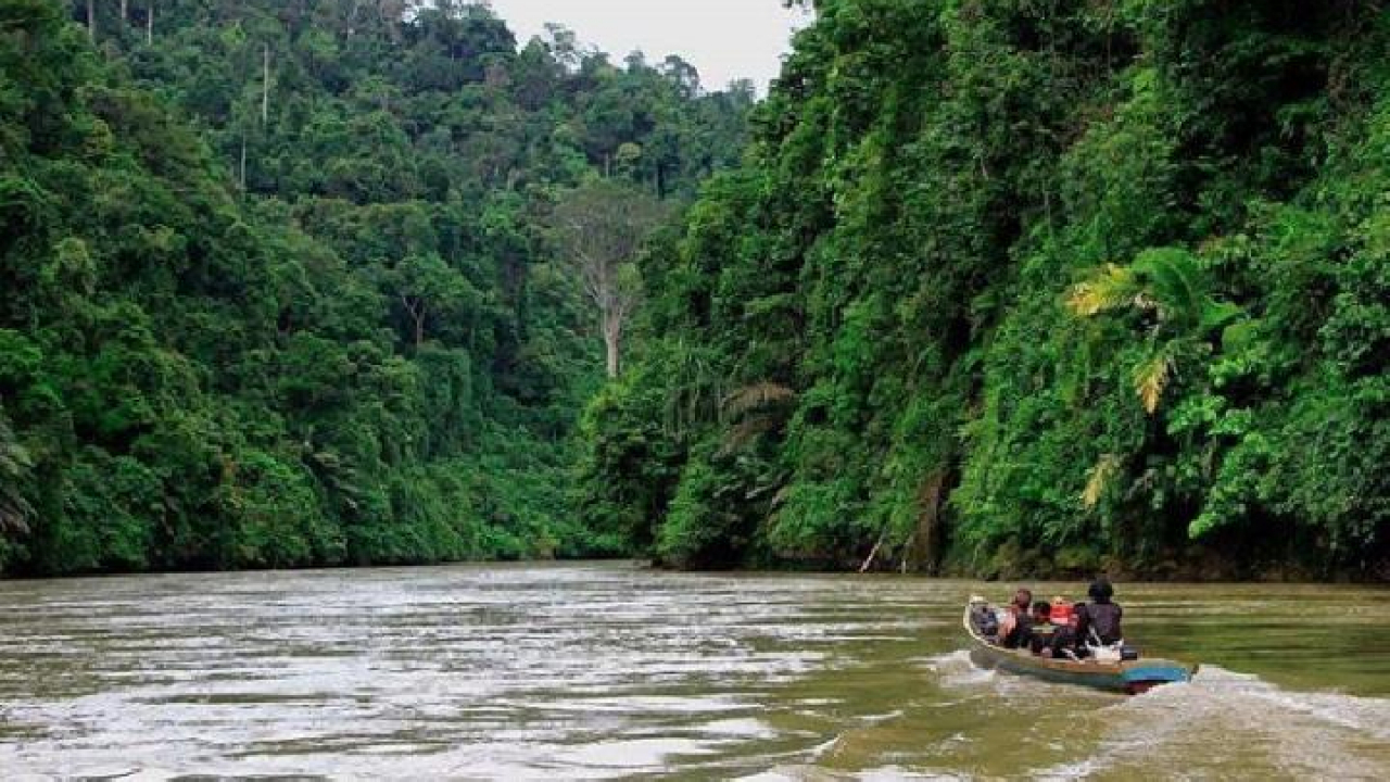 Alam Pedesaan & Suasana Kampung