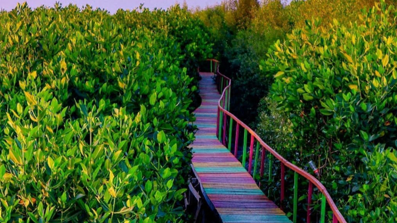 Taman Mangrove