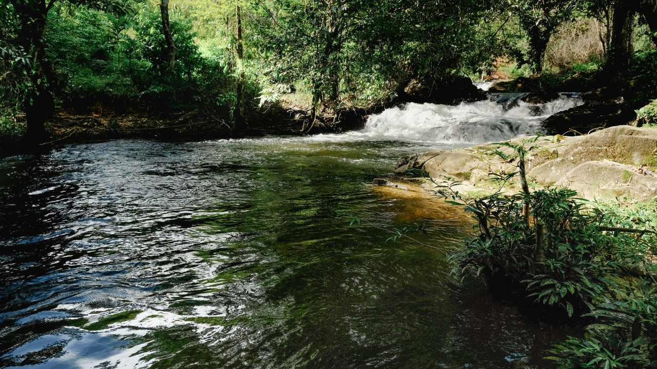 River Adventure & Wisata Sungai