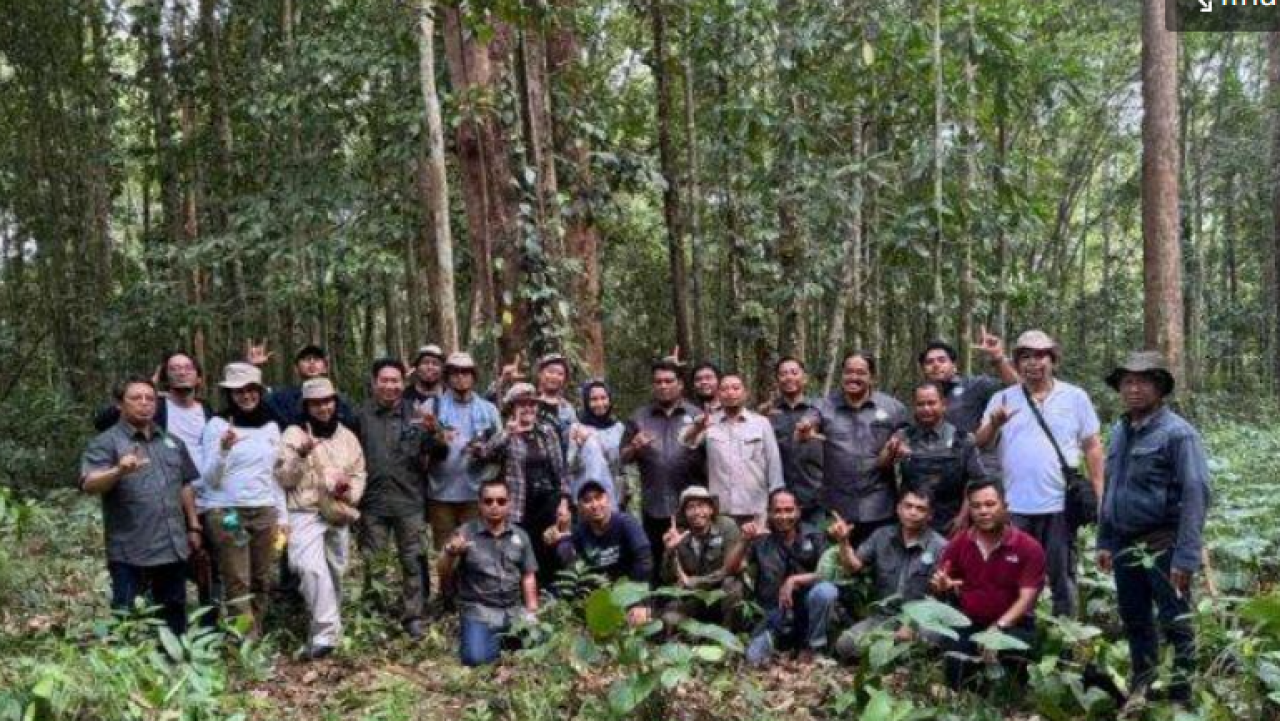 Upaya Petani di Ketapang Kalbar Swadaya Jaga Pelestarian Alam