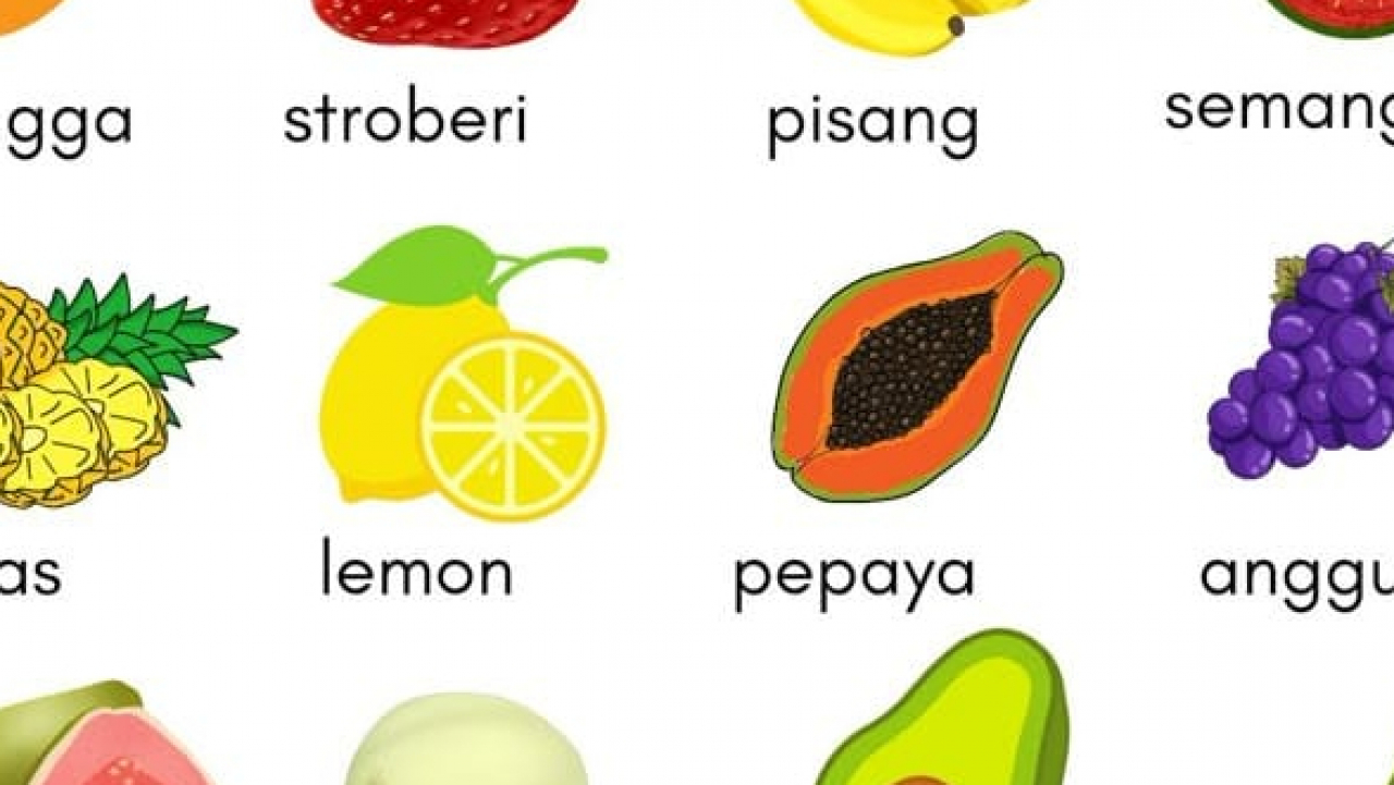 Ekonomi Desa Natai Kuini Menggeliat: Perkebunan Buah-buahan Berkembang