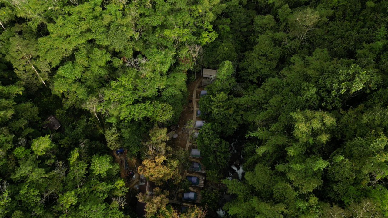Upaya Petani di Ketapang Kalbar Swadaya Jaga Pelestarian Alam