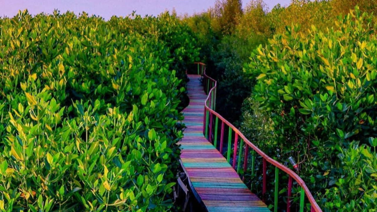 Taman Mangrove