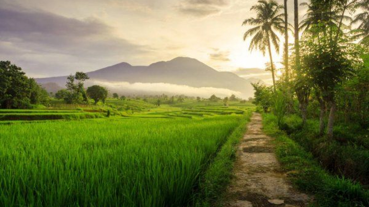Lingkungan Alam Pedesaan