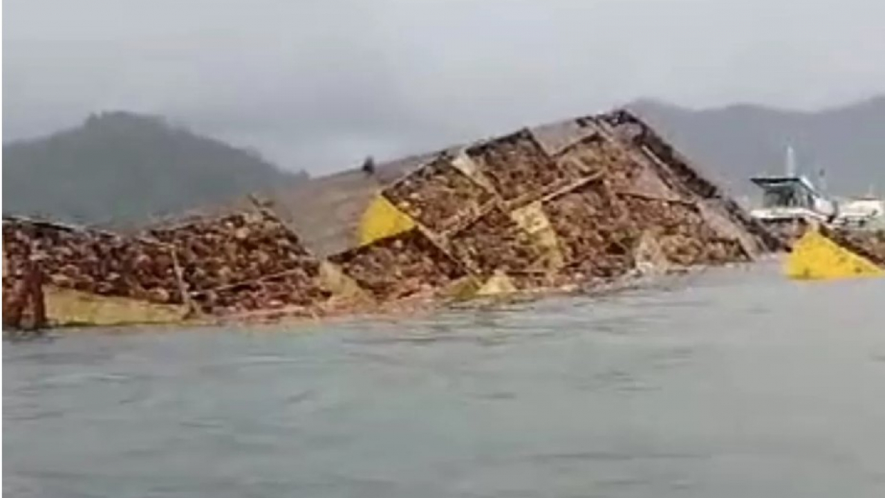 Tongkang Bermuatan 100 Ton Sawit Tenggelam di Kendawangan