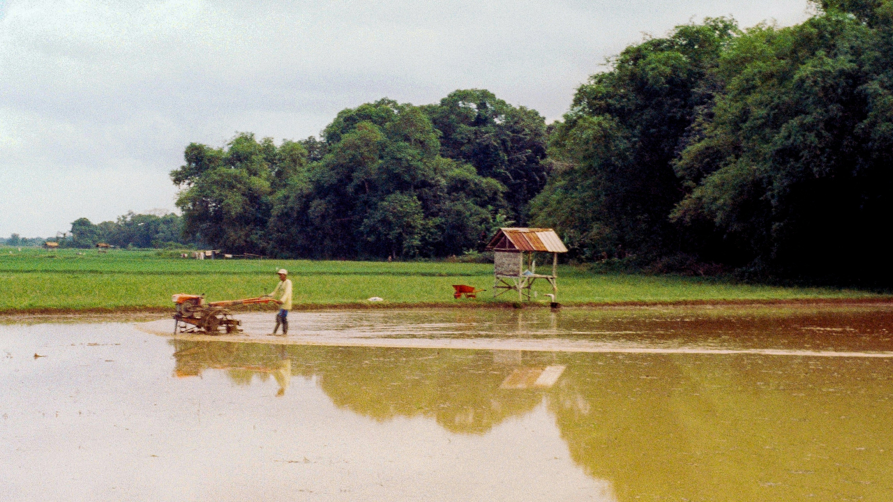 Pertanian dan Perkebunan