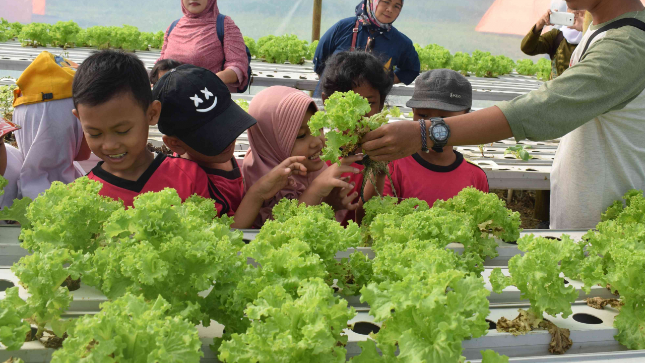 Pertanian & Agro Wisata