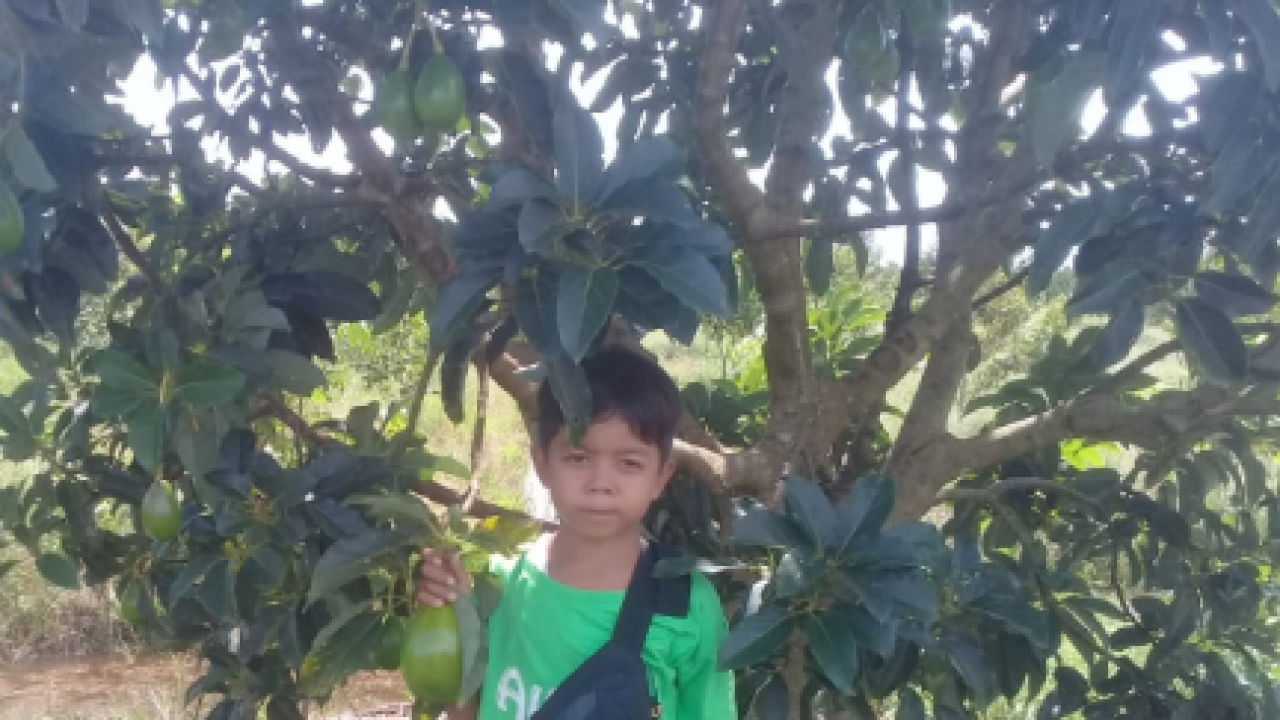 Wisata Petik Buah