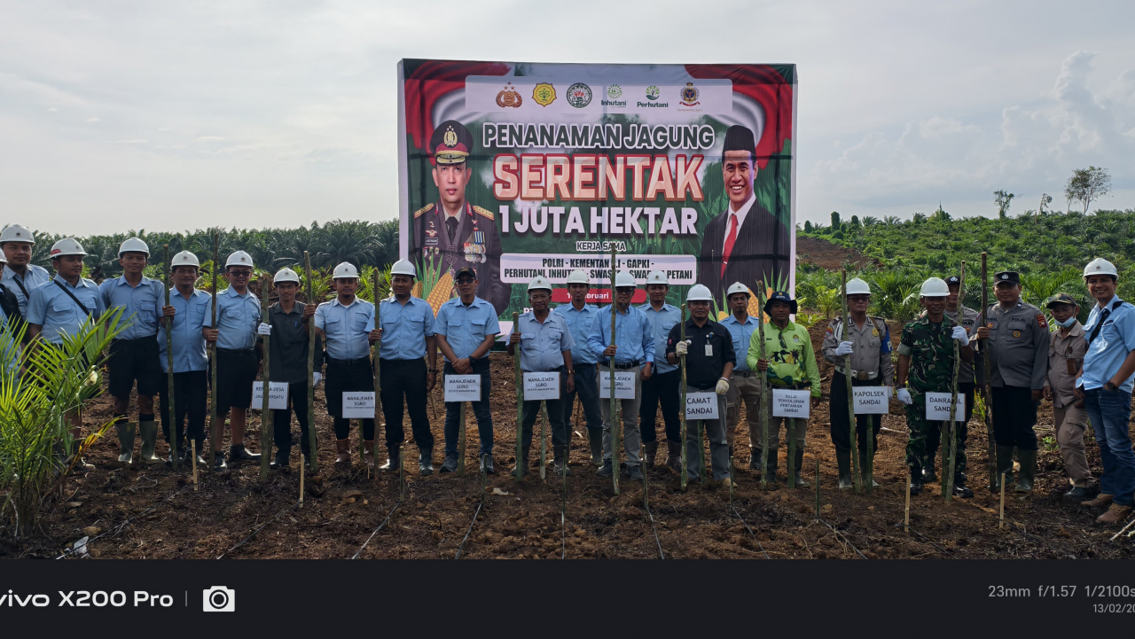 Implementasi Program Presiden Ketahanan Pangan: Penanaman Jagung Serentak di PT Lanang Agro Bersatu, Kecamatan Sandai
