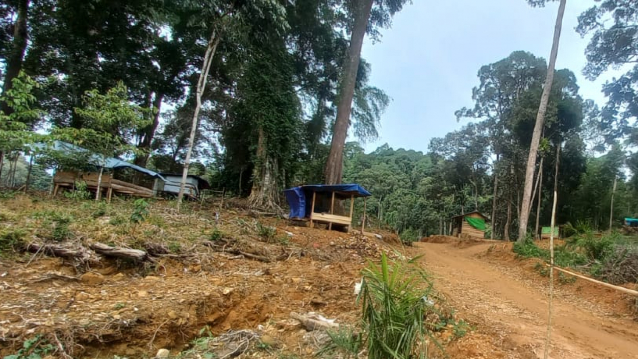 Pesona Hutan dan Durian Desa Jago Bersatu