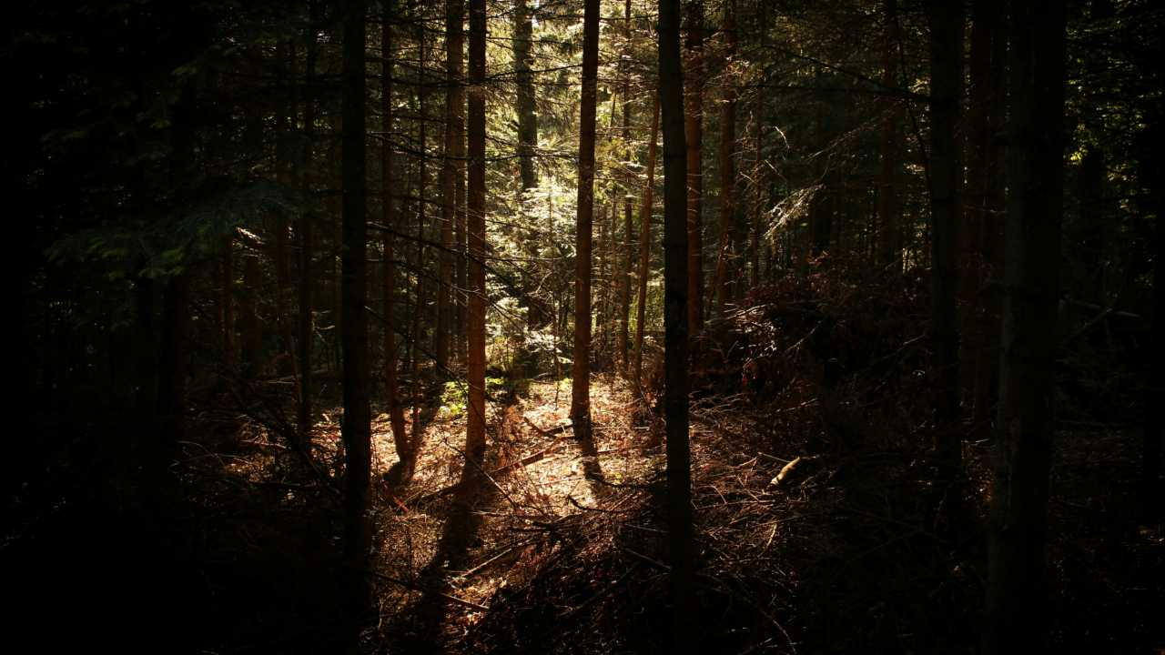 Spot Alam & Jalan Setapak Edukasi