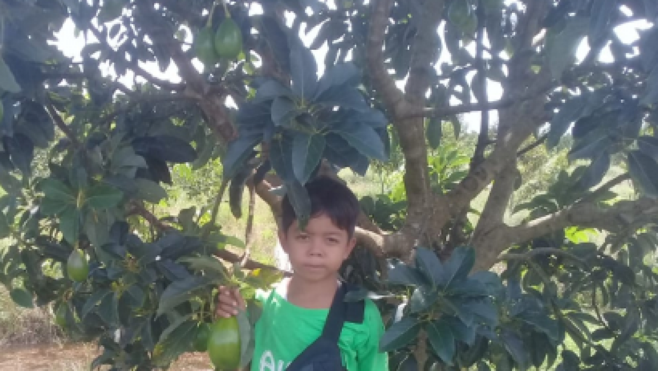 Wisata Petik Buah