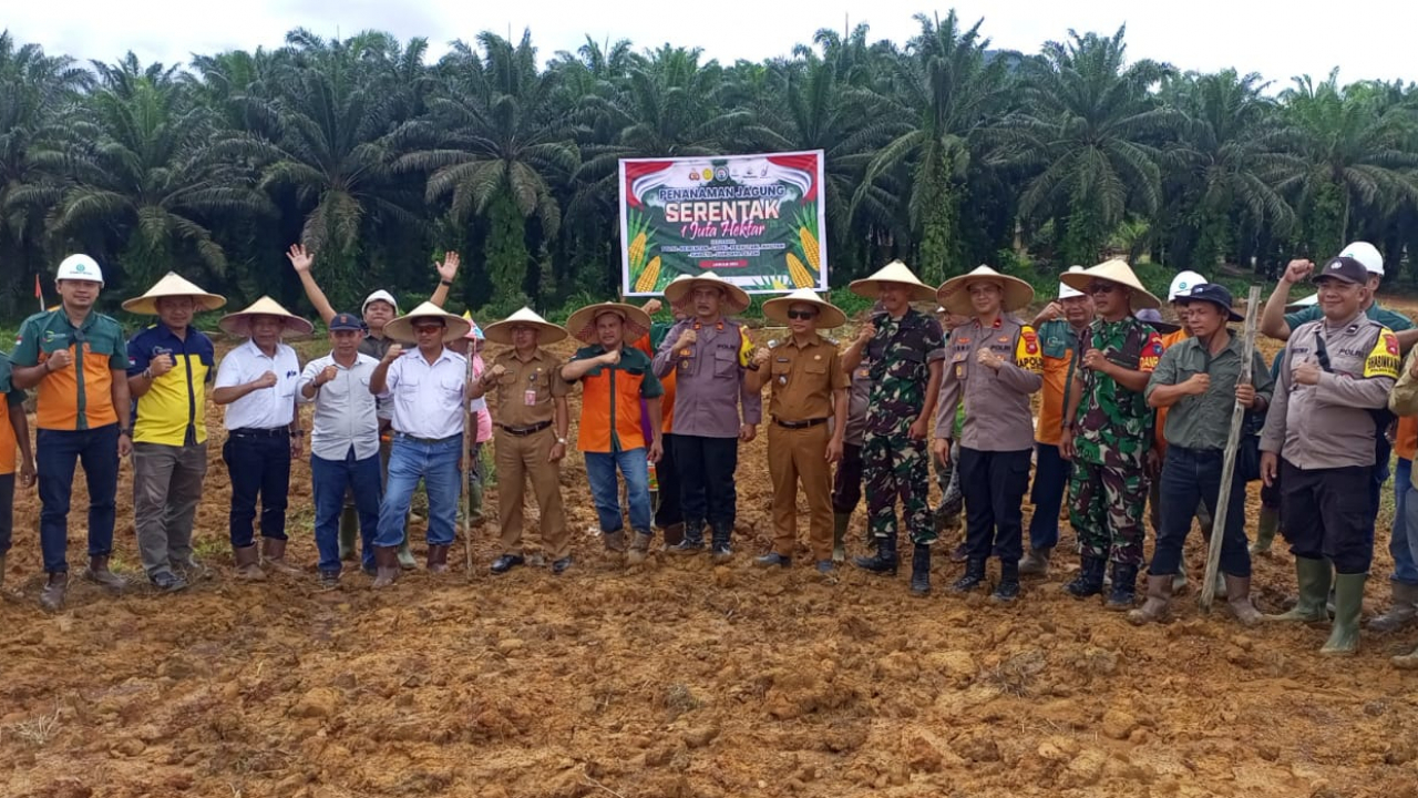PT PTS Ketapang Turut Andil dalam Program Penanaman Jagung Serentak 1 Juta Hektare