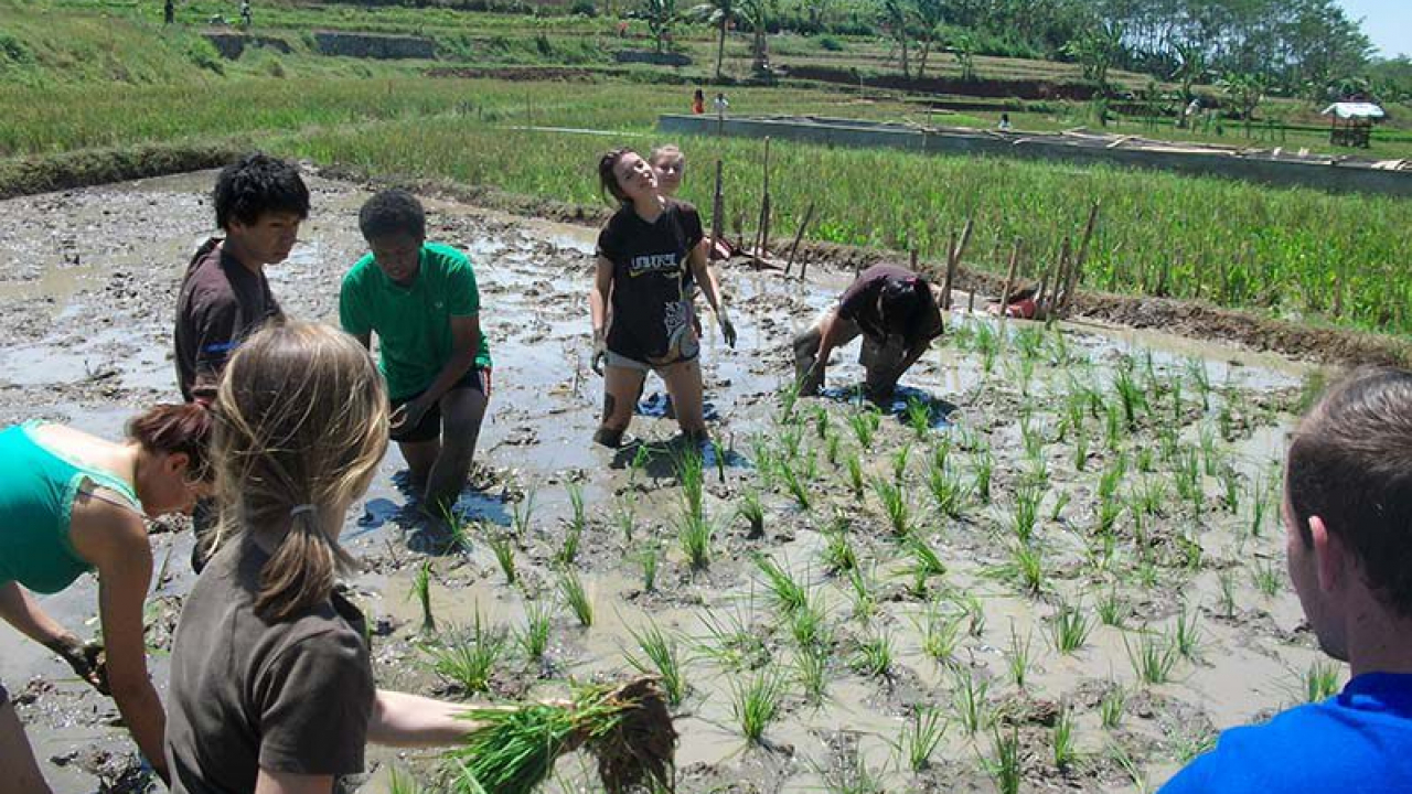 Agro & Sawah Edukatif