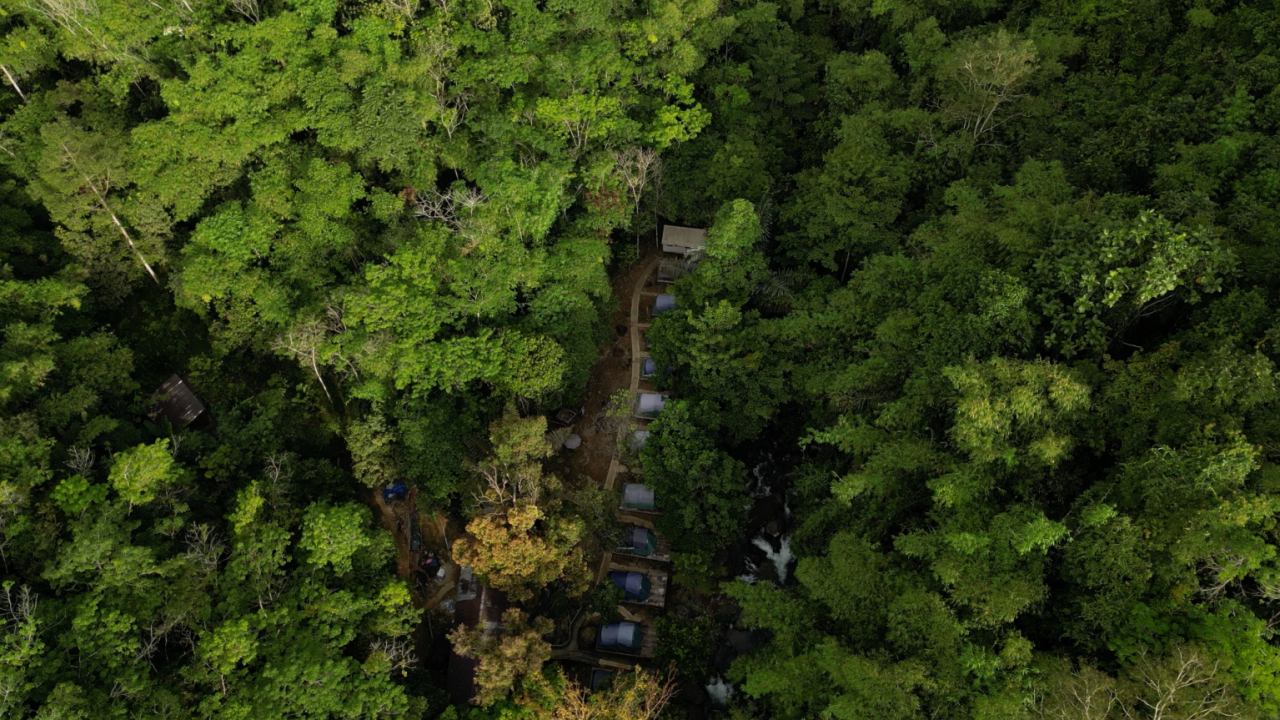 Upaya Petani di Ketapang Kalbar Swadaya Jaga Pelestarian Alam