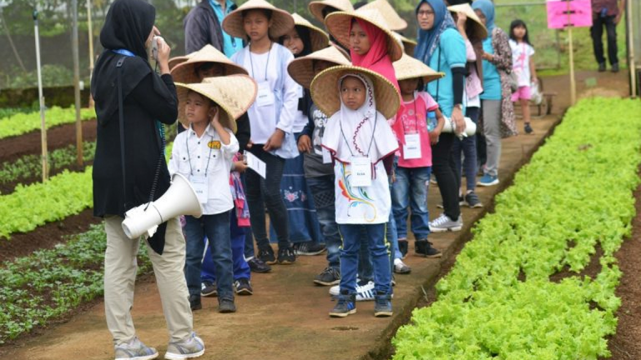 Edukasi Pertanian dan Perkebunan