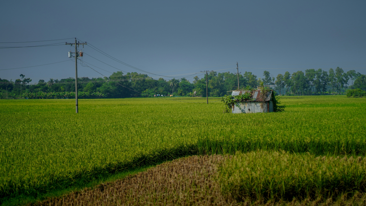 Pertanian & Agroindustri