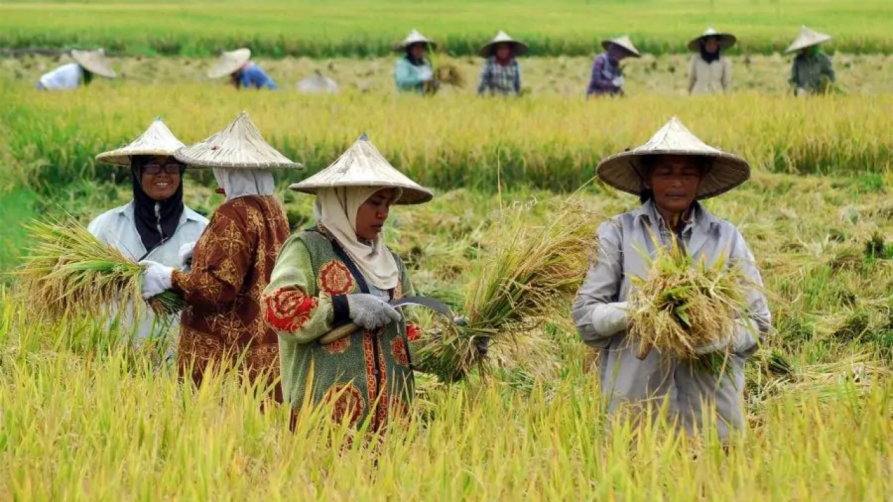Potensi Ekonomi dan Pertanian