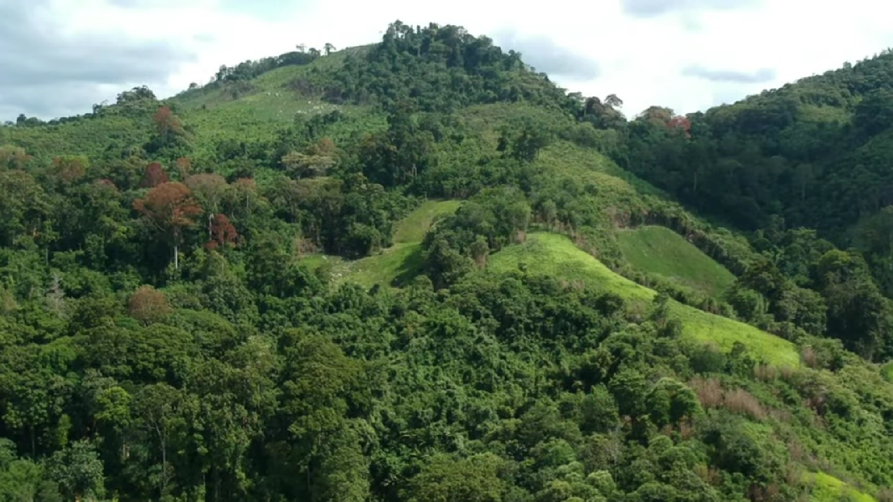 Pengembangan Wisata Alam